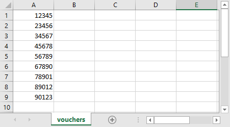 excel_vouchers.png